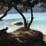 Occhiatana, Santa Giulia Villa *